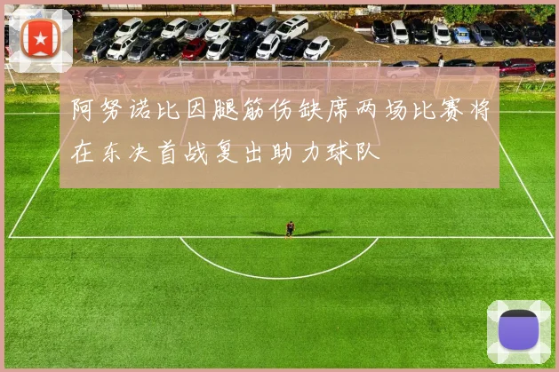 阿努诺比因腿筋伤缺席两场比赛将在东决首战复出助力球队