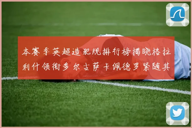 本赛季英超造犯规排行榜揭晓格拉利什领衔多尔古萨卡佩德罗紧随其后