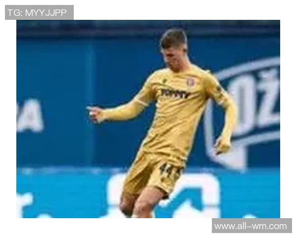 英媒称热刺小将武什科维奇外租汉堡表现优异助球队提升