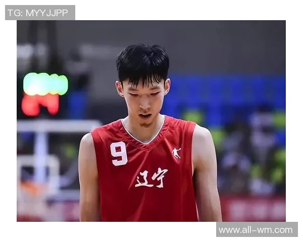 周琦天赋助力高薪但体质限制其核心地位分析